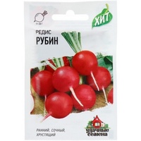 articul-A162569