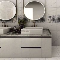 A260288-2 articul-A260288-2