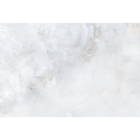 articul-A260585