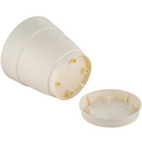 articul-A268536-2