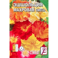 articul-A284161