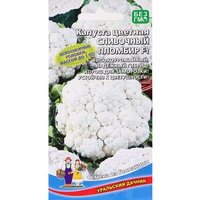 articul-A284663