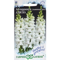 articul-A284803