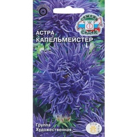 articul-A284812