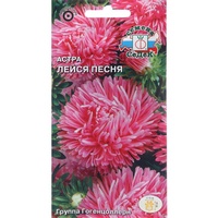 articul-A284814