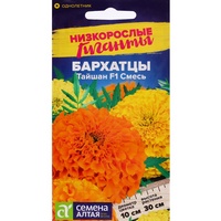 articul-A284837