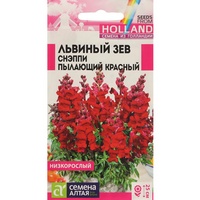 articul-A284882