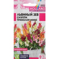 articul-A284883