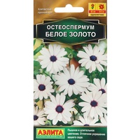 articul-A284887