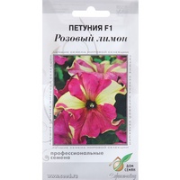 articul-A284891