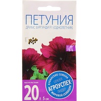 articul-A284896