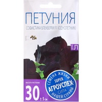 articul-A284904