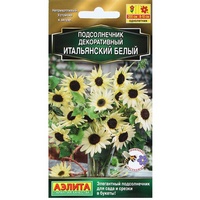 articul-A284905
