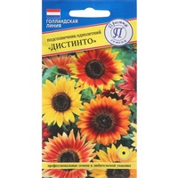 articul-A284908