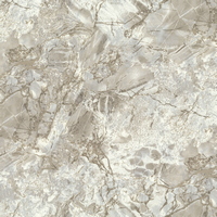 articul-A305741