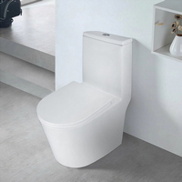 articul-A306707-3