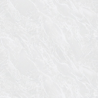 articul-A323563