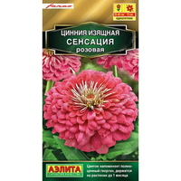 articul-A324167