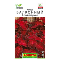 articul-A324859