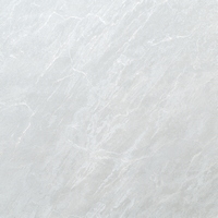 articul-A334499