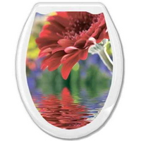 A338791 articul-A338791