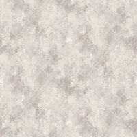 articul-A347421