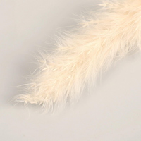 articul-A354941-2