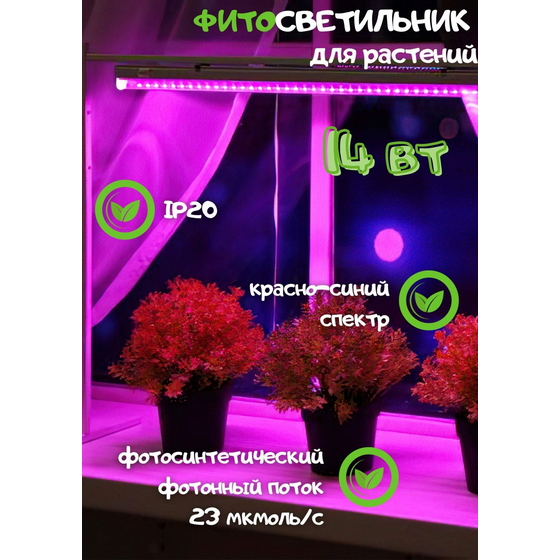 A145521 articul-A145521